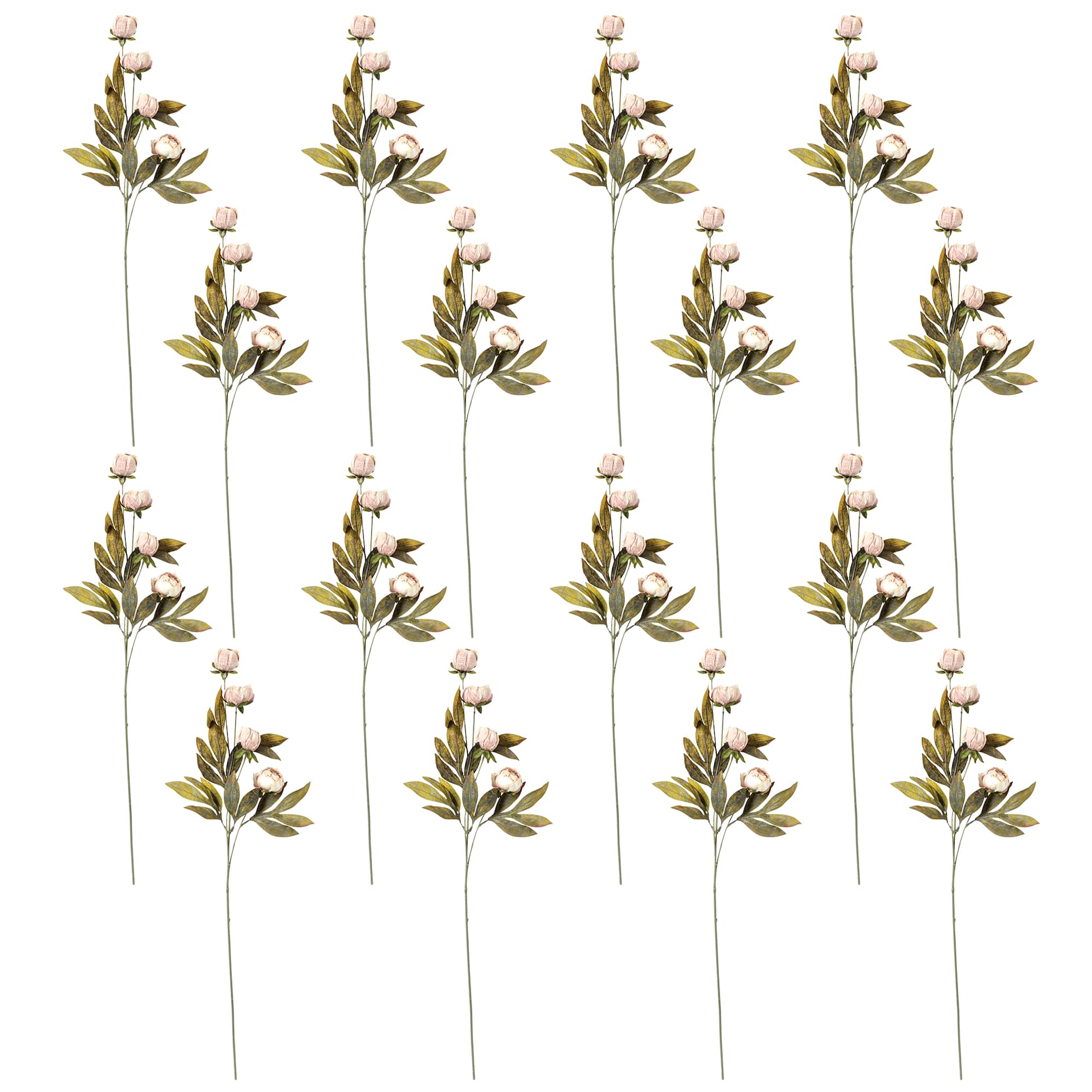 16 Pack: Tan Peony Stem by Ashland®